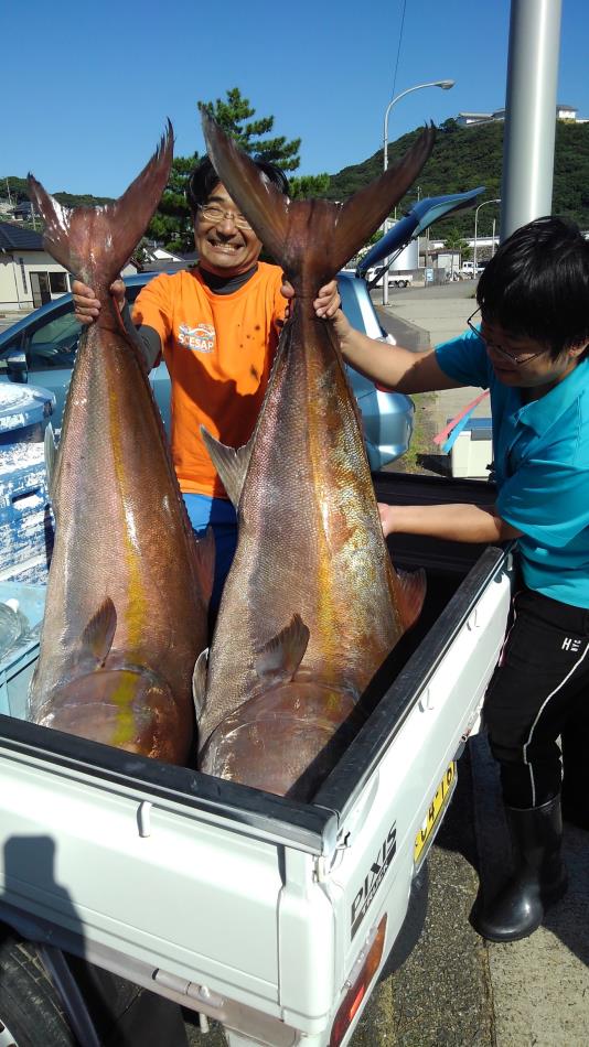 19 9 9 アカイカ釣りとアカイカ泳がせ 釣果情報 釣り船 太新丸