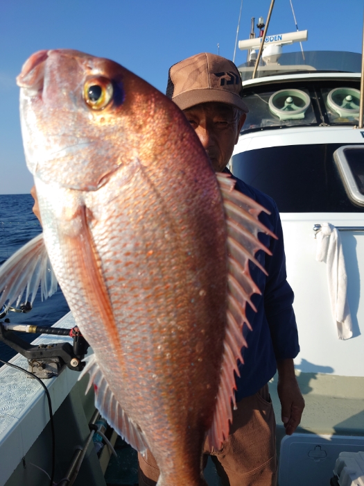 落とし込み釣り
