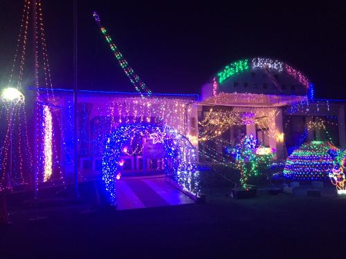 イルミ　櫨宇土２