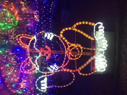 イルミ　櫨宇土１