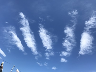 鯉みたいな雲　単独