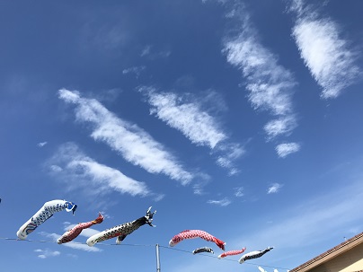 鯉みたいな雲１