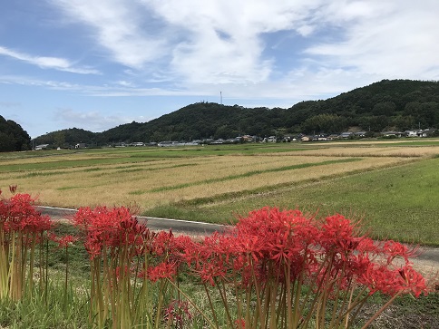 おまけ　２