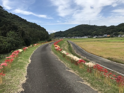 おまけ