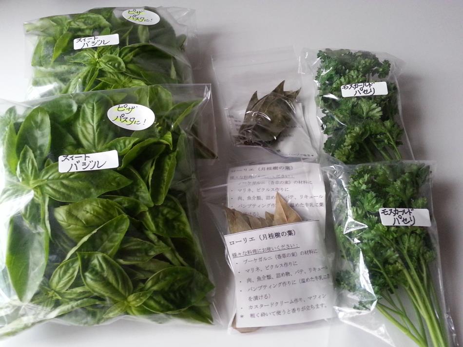 スィートバジル モスカールド パセリ ローリエ お知らせ Naturalherb 香草園 ナチュラルハーブ香草園