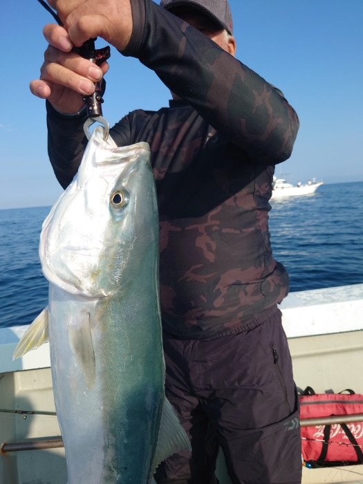 落とし込み釣り