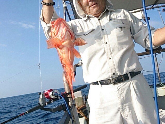 泳がせ釣り
