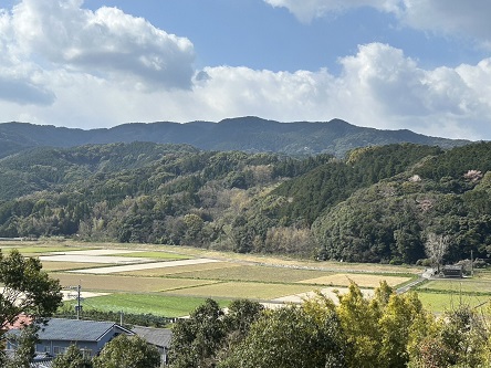 墓所から