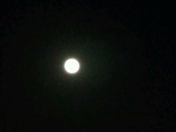20130528-221851.jpg