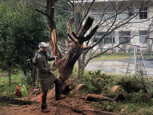 R７チェンソーアート