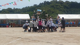 玉入れ　白　