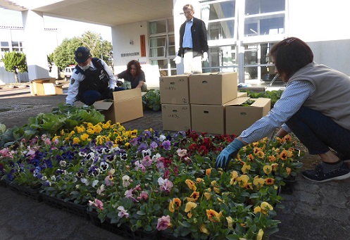 花仕分け