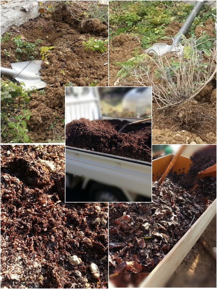 冬の土作り 投稿フォーム Naturalherb 香草園 ナチュラルハーブ香草園