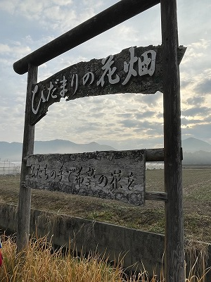 ひだまりの花畑_2022_0313