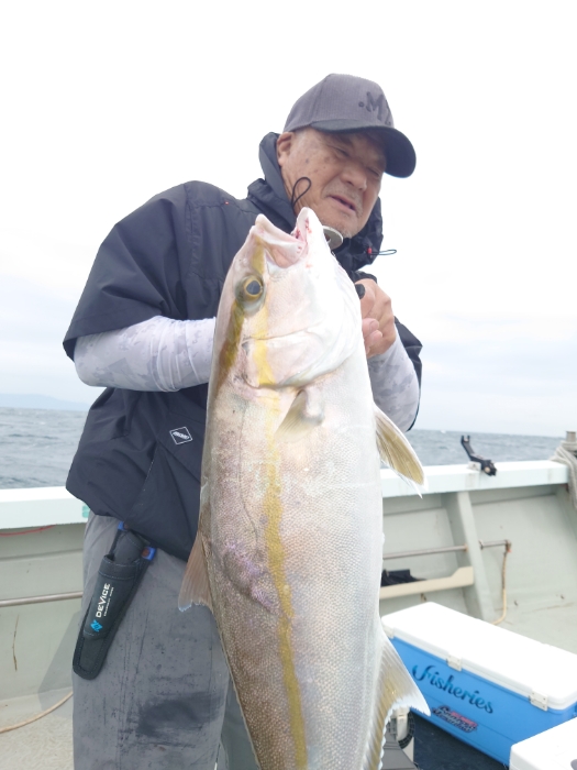 落とし込み釣り