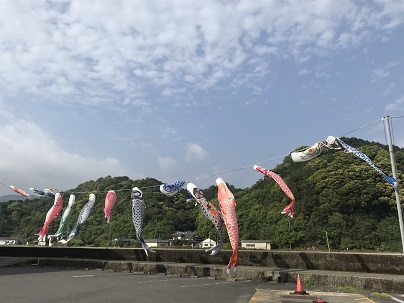 風の鯉のぼり　ブログ２