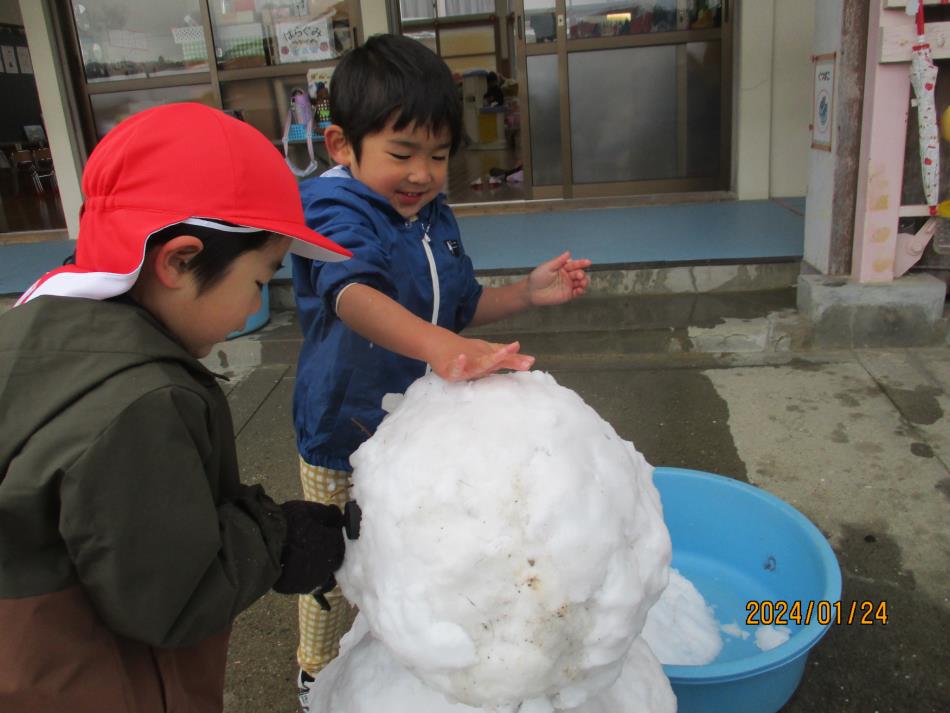 雪だるま（ばら）