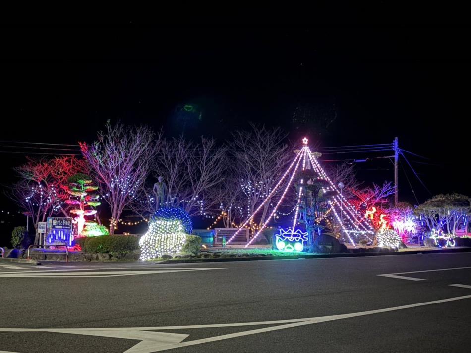 2025じゅうえん公園にイルミネーション設置しました