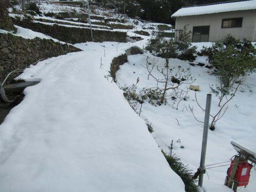 大雪９