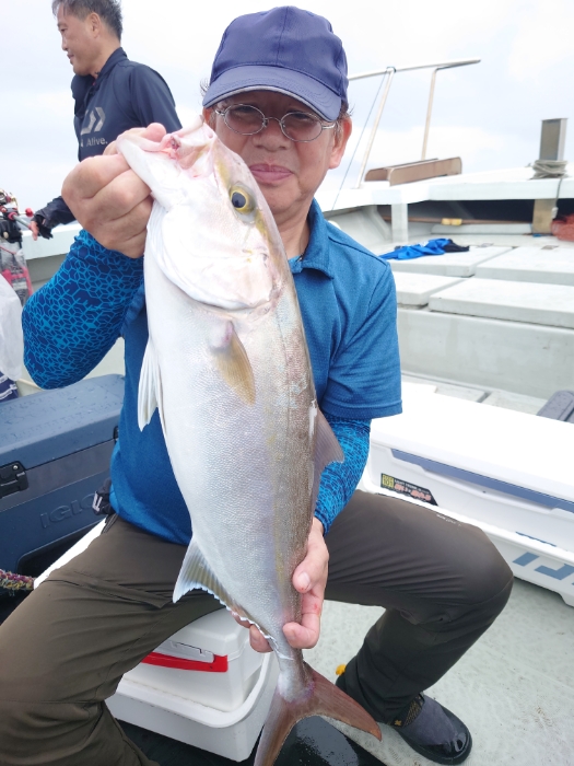 落とし込み釣り