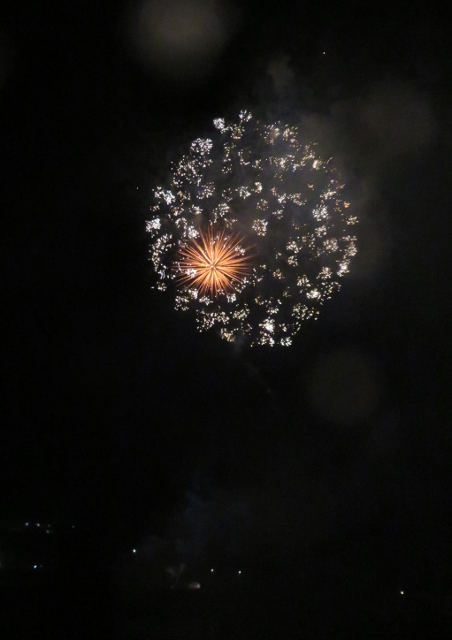 IMG_2131 (452x640)