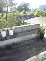 bb 0808