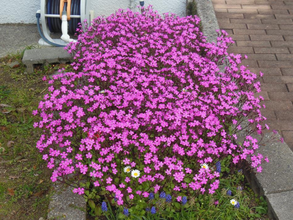 祈りの里、去り行く春