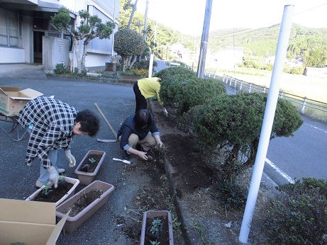 花苗植え　２０１７　１