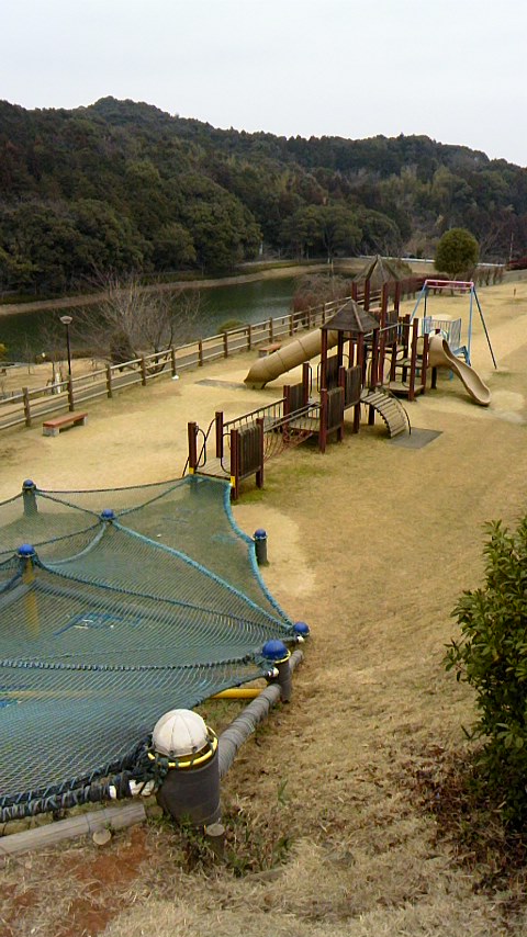 110210_1336~01.jpg