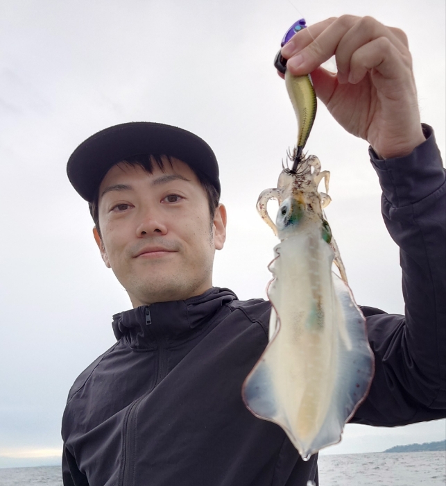 ティップラン
