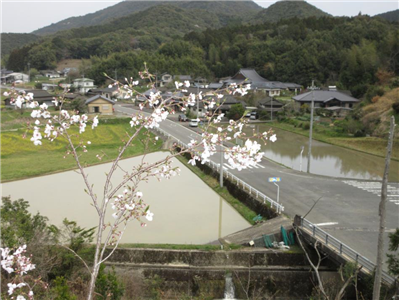 IMG_0439（縮小400×300）