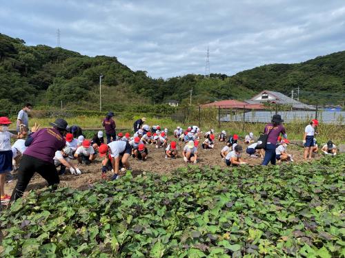 芋掘り体験の会場