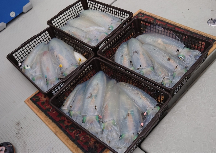 船ヤエン、ティップラン