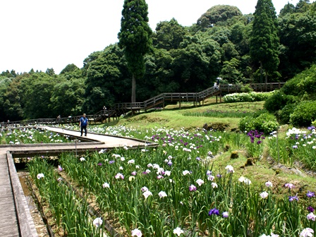 DSC03709