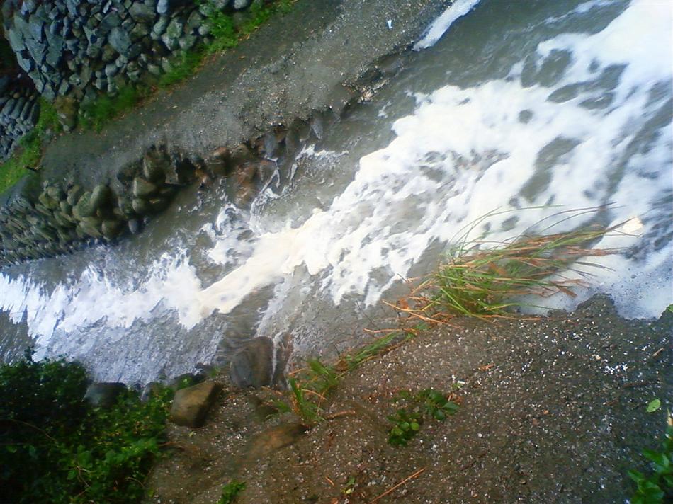 201209170803001