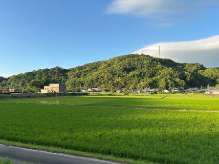 平日のコロッケ