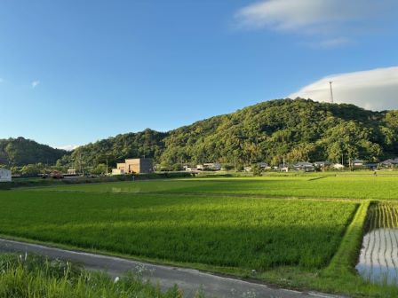 下津浦のみどり