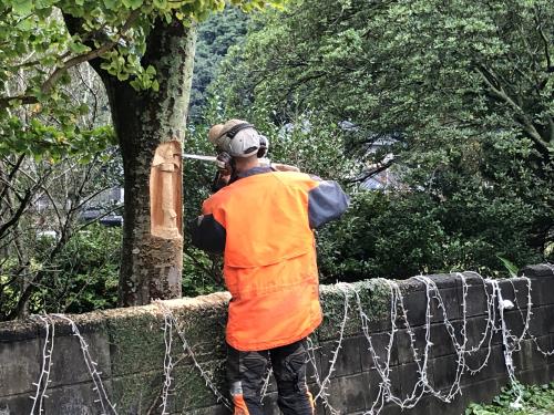 R７チェンソーアート