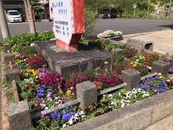 R7春の花