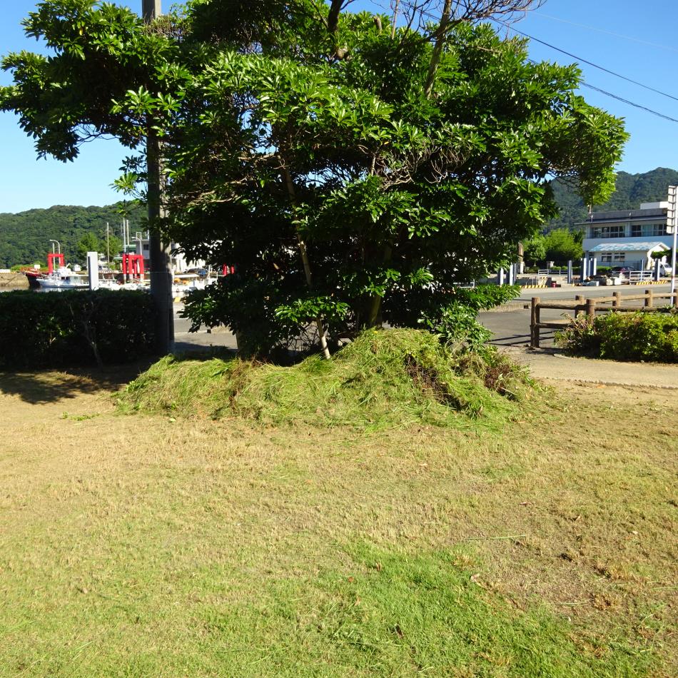 海の日の清掃活動