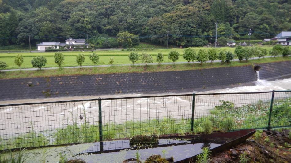 河内川台風4号接近 (1)