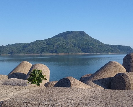 産島8月