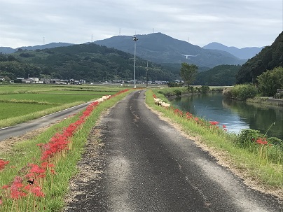 ③
