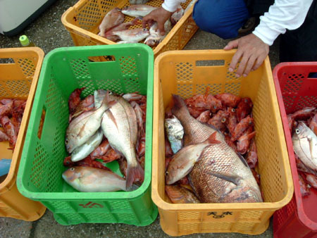 鯛釣り大会04