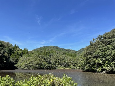 大杉の堤①