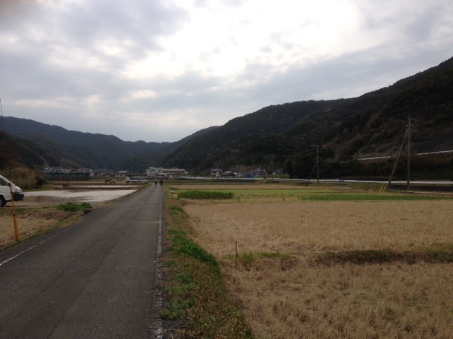 田３