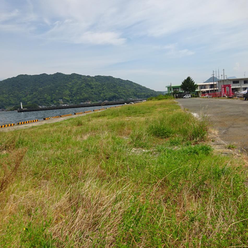 花火打ち上げ場所除草作業