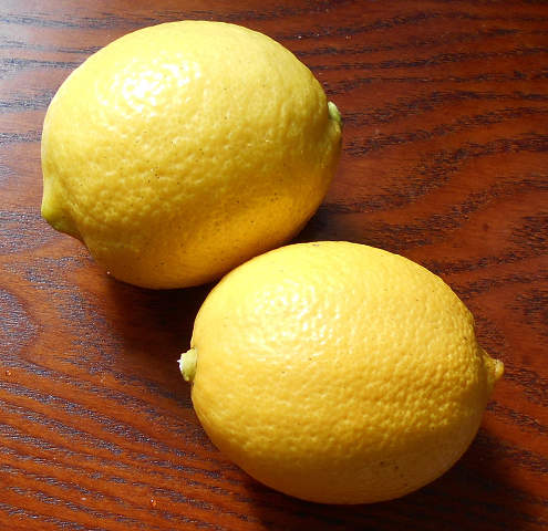 天草産レモン