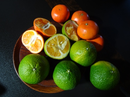 天草の柑橘類