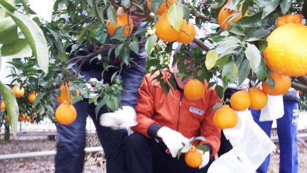 9_20180112_134349_1024